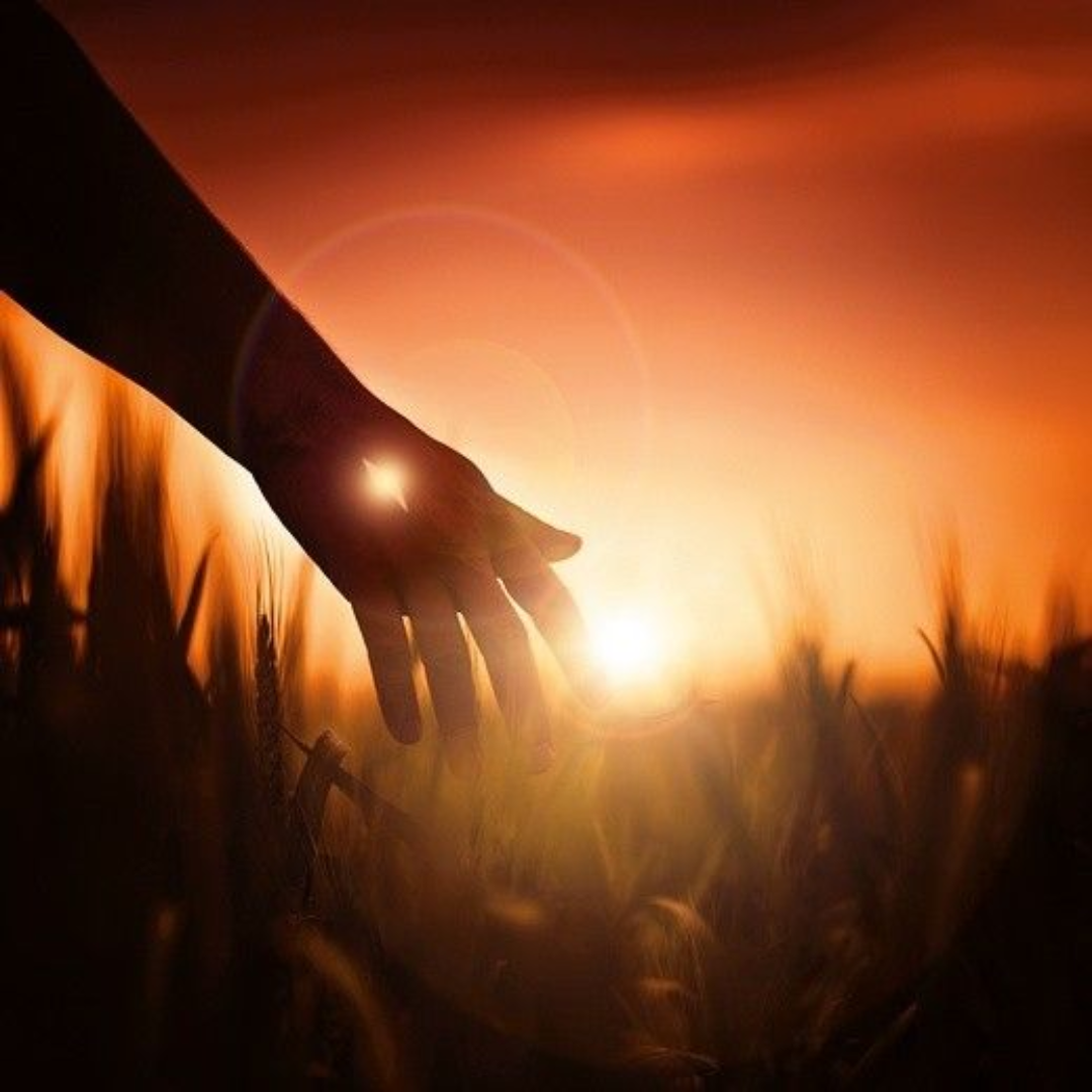 Daily Devotion - June 3, 2025 (Hindi)- भक्ति की नींव post image