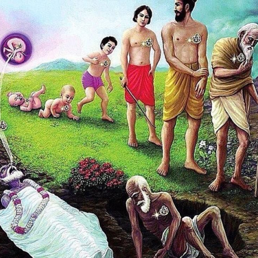 Daily Devotion - Nov 15, 2025 (English)- Beyond Birth–Death